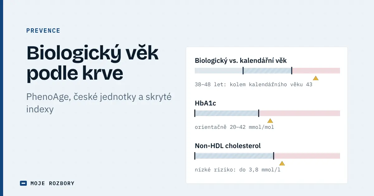 Titulní grafika článku o biologickém věku podle krve s orientačními pásmy pro odhad věku, HbA1c a non-HDL cholesterol