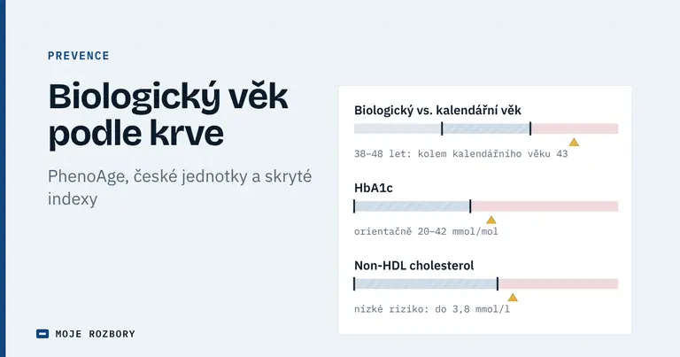 Titulní grafika článku o biologickém věku podle krve s orientačními pásmy pro odhad věku, HbA1c a non-HDL cholesterol