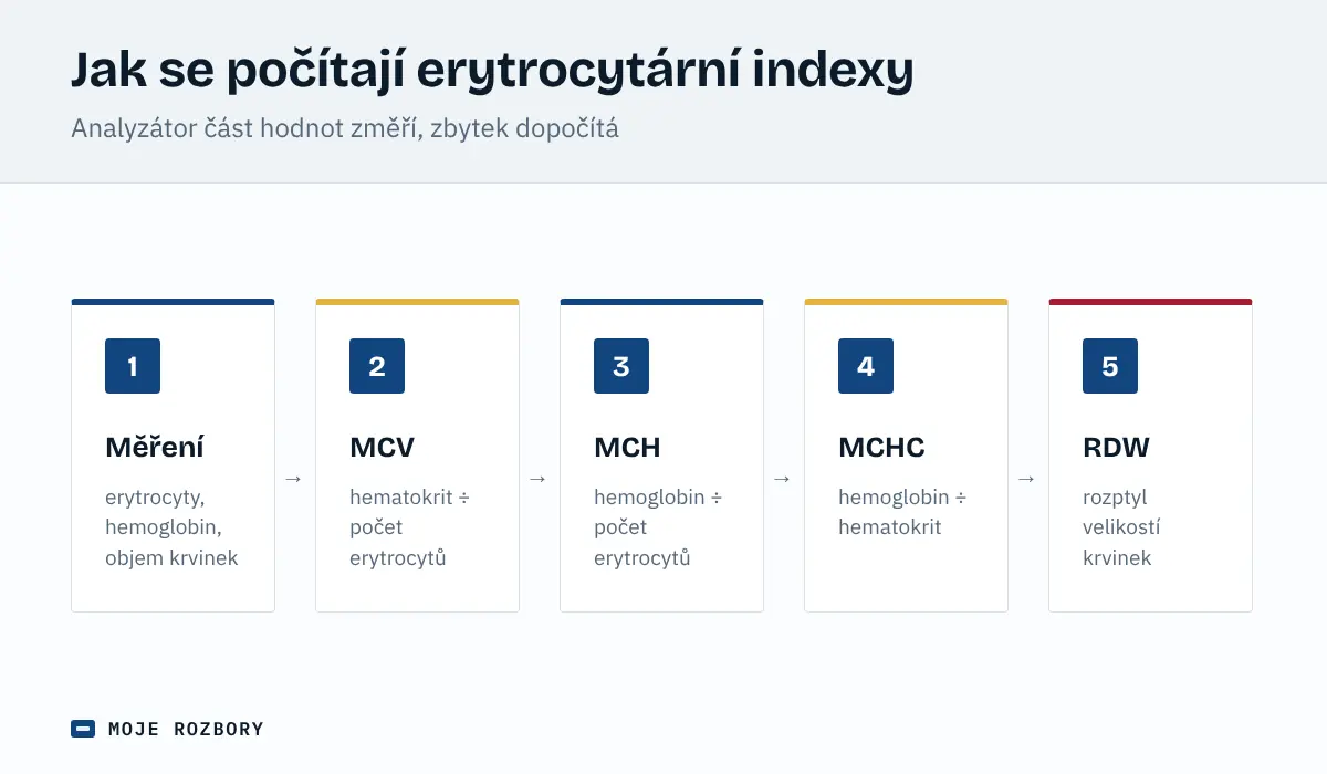 Schéma výpočtu erytrocytárních indexů MCV, MCH, MCHC a RDW z měřených hodnot krevního obrazu