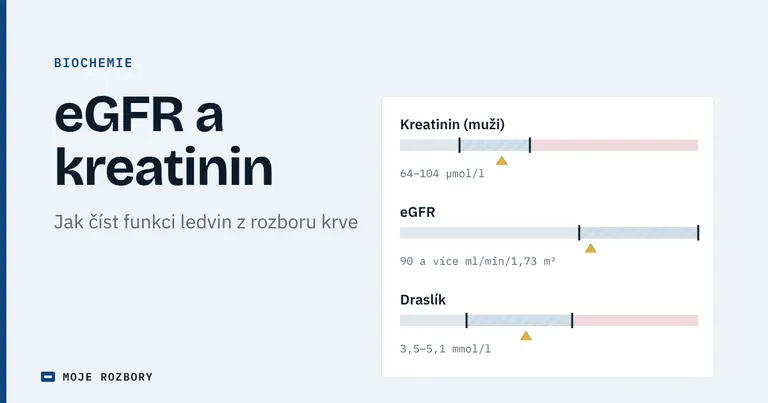 Titulní grafika článku o eGFR a kreatininu s orientačními pásmy kreatininu, eGFR a draslíku