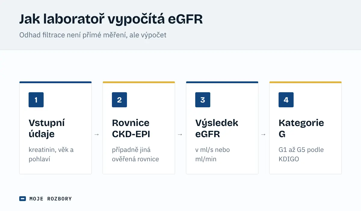 Schéma výpočtu eGFR: kreatinin, věk a pohlaví vstupují do výpočetní rovnice, nejčastěji CKD-EPI, z níž vyjde hodnota eGFR a kategorie G