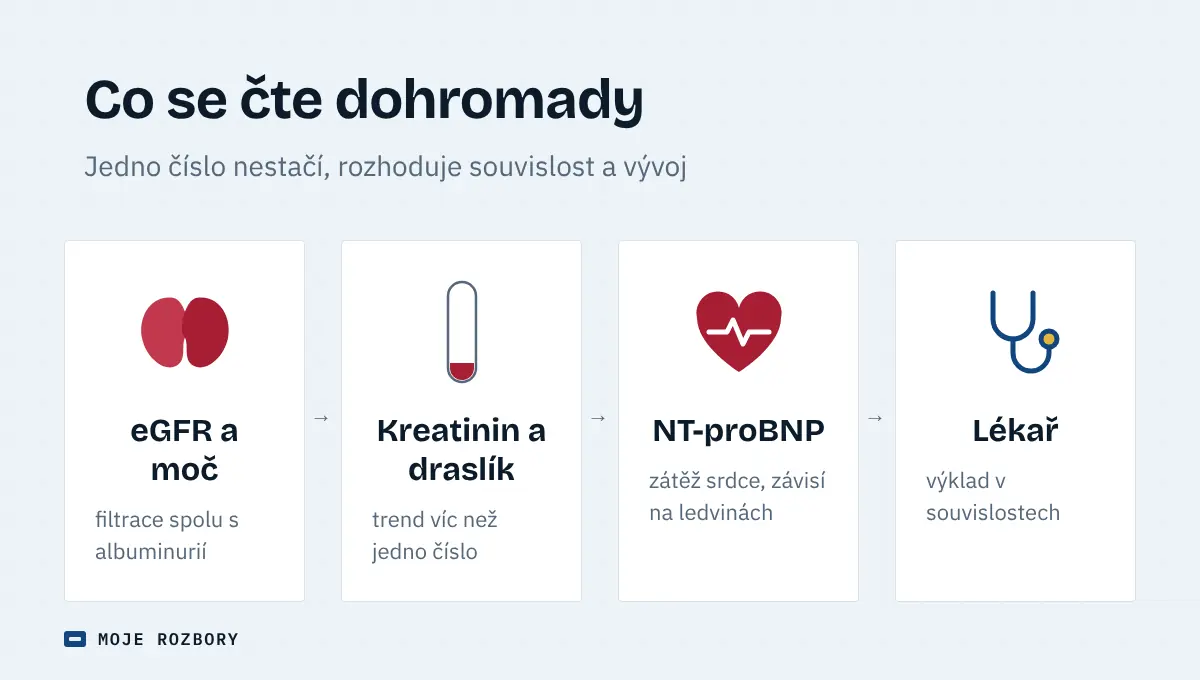 Čtyři karty s ikonami ledvin, zkumavky, srdce a fonendoskopu shrnující, které výsledky se čtou společně