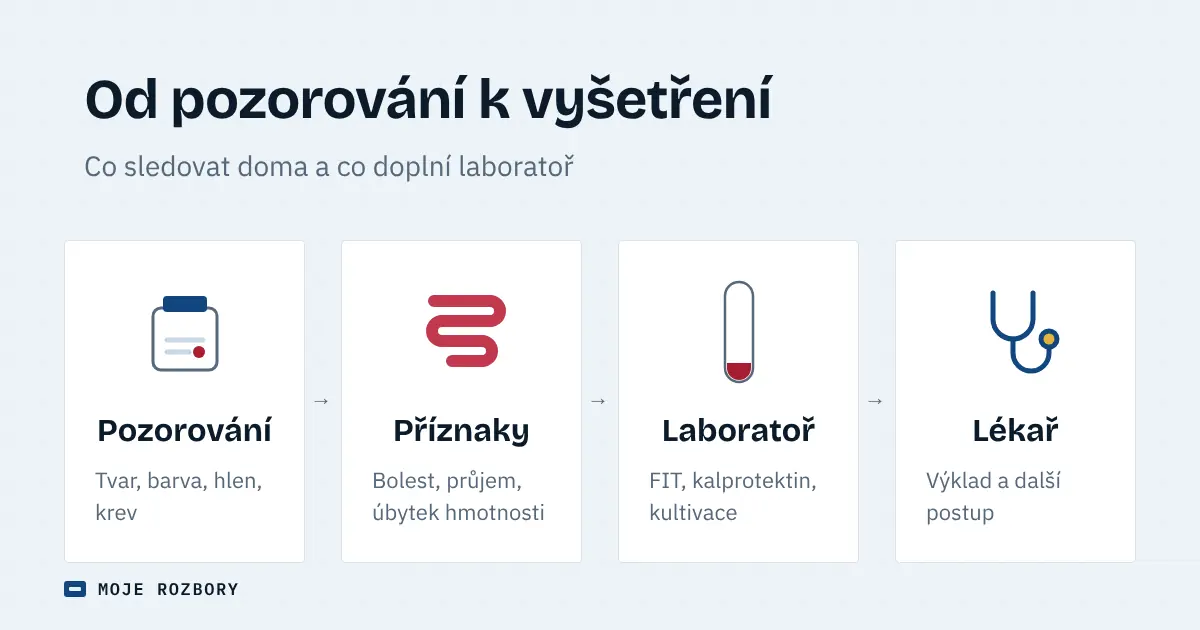 Čtyři kroky od pozorování stolice přes příznaky a laboratorní vyšetření k lékaři